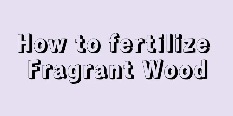 How to fertilize Fragrant Wood