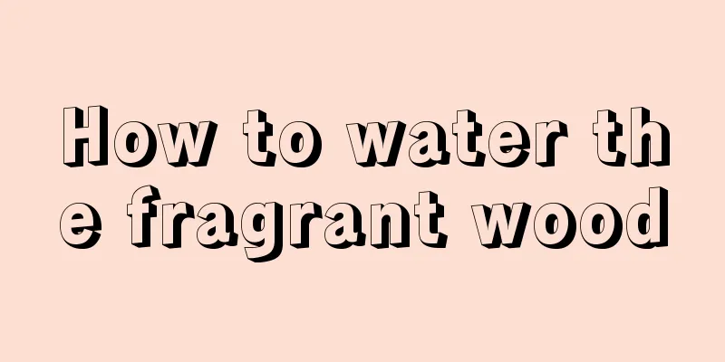 How to water the fragrant wood