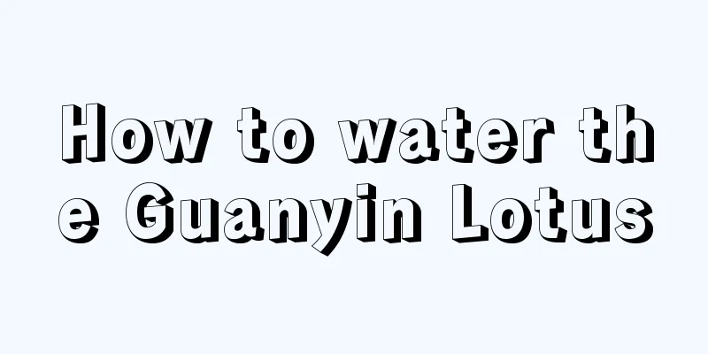 How to water the Guanyin Lotus