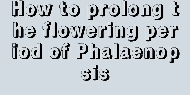 How to prolong the flowering period of Phalaenopsis