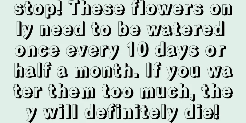 stop! These flowers only need to be watered once every 10 days or half a month. If you water them too much, they will definitely die!