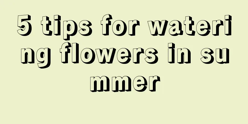 5 tips for watering flowers in summer