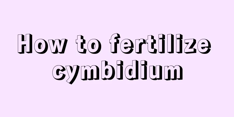 How to fertilize cymbidium