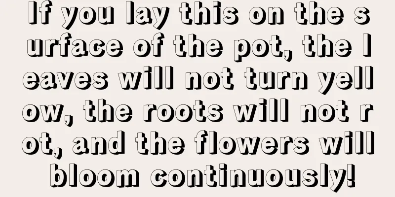 If you lay this on the surface of the pot, the leaves will not turn yellow, the roots will not rot, and the flowers will bloom continuously!