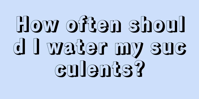 How often should I water my succulents?