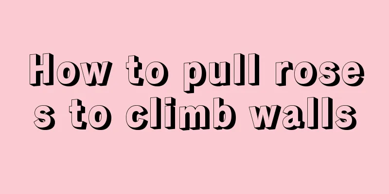 How to pull roses to climb walls