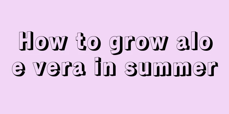 How to grow aloe vera in summer