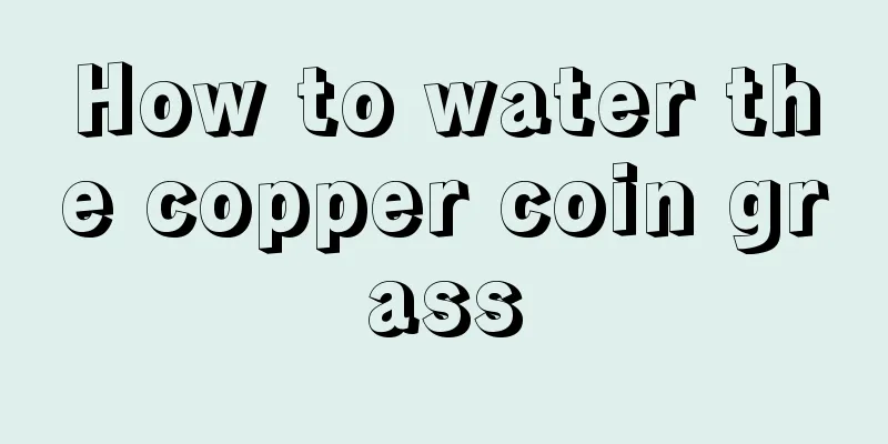 How to water the copper coin grass