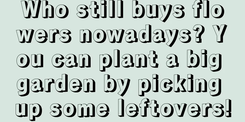 Who still buys flowers nowadays? You can plant a big garden by picking up some leftovers!