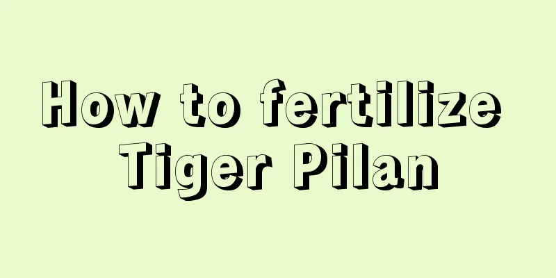 How to fertilize Tiger Pilan