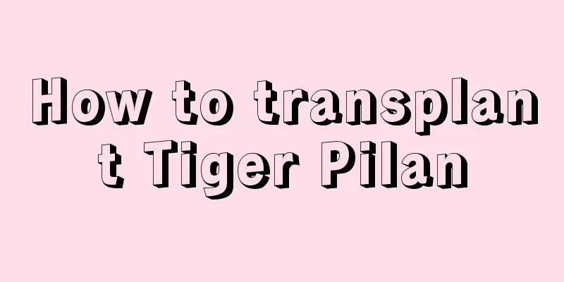 How to transplant Tiger Pilan