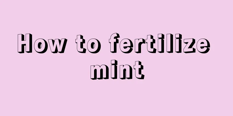 How to fertilize mint