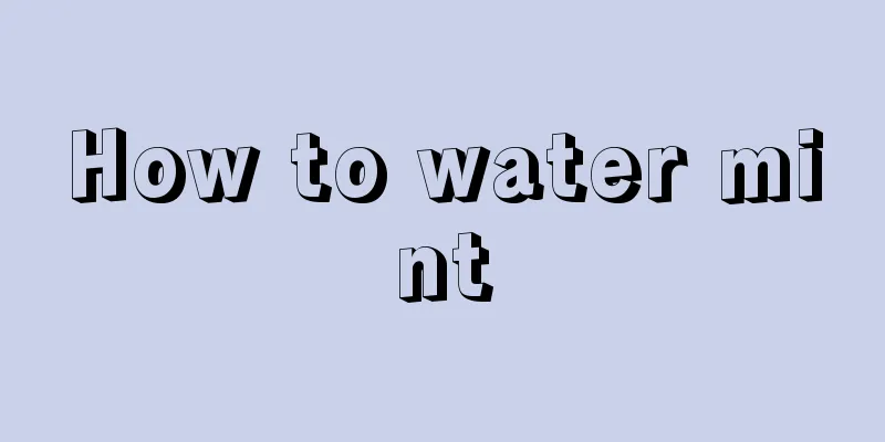 How to water mint