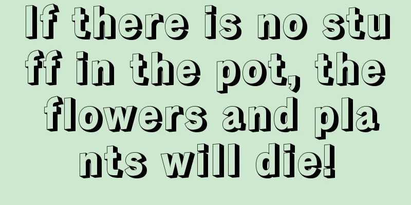 If there is no stuff in the pot, the flowers and plants will die!