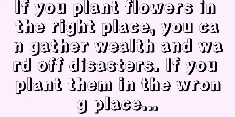 If you plant flowers in the right place, you can gather wealth and ward off disasters. If you plant them in the wrong place...