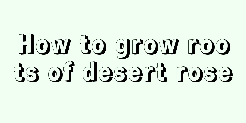 How to grow roots of desert rose