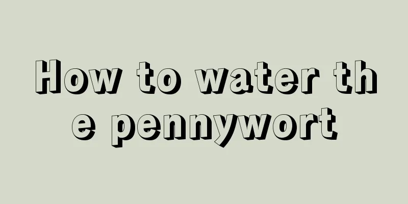 How to water the pennywort