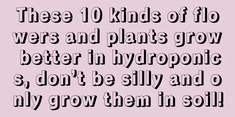 These 10 kinds of flowers and plants grow better in hydroponics, don’t be silly and only grow them in soil!