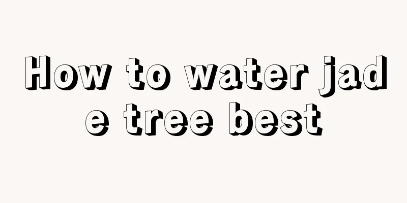 How to water jade tree best