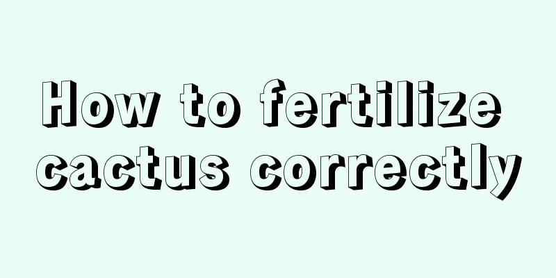 How to fertilize cactus correctly