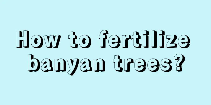 How to fertilize banyan trees?