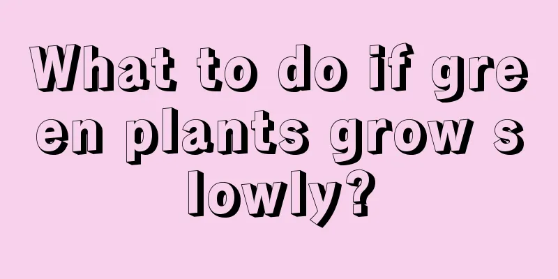 What to do if green plants grow slowly?