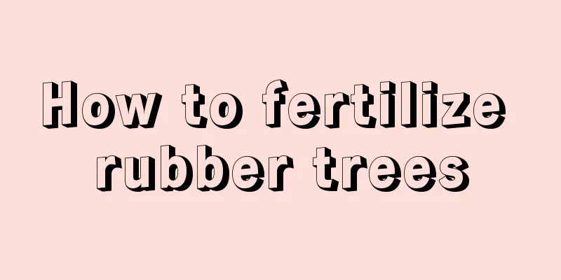 How to fertilize rubber trees