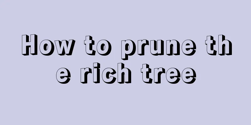 How to prune the rich tree