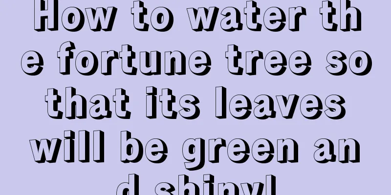 How to water the fortune tree so that its leaves will be green and shiny!