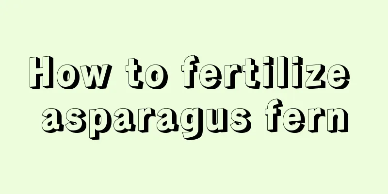 How to fertilize asparagus fern