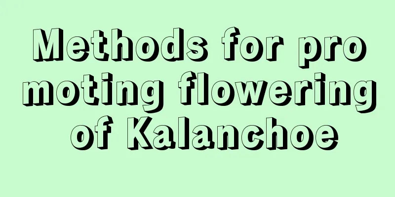 Methods for promoting flowering of Kalanchoe