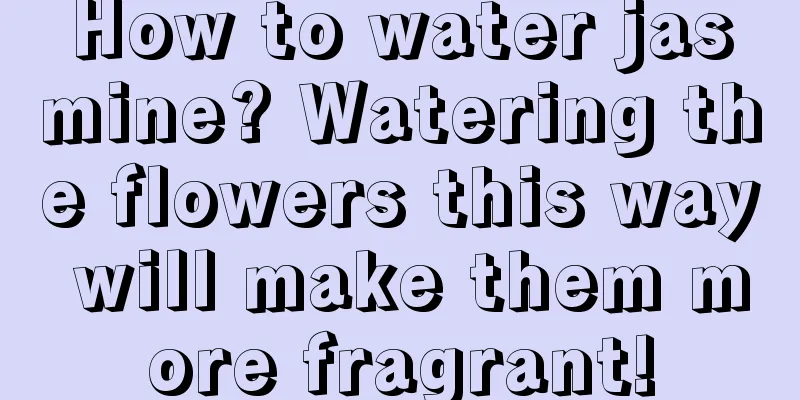 How to water jasmine? Watering the flowers this way will make them more fragrant!