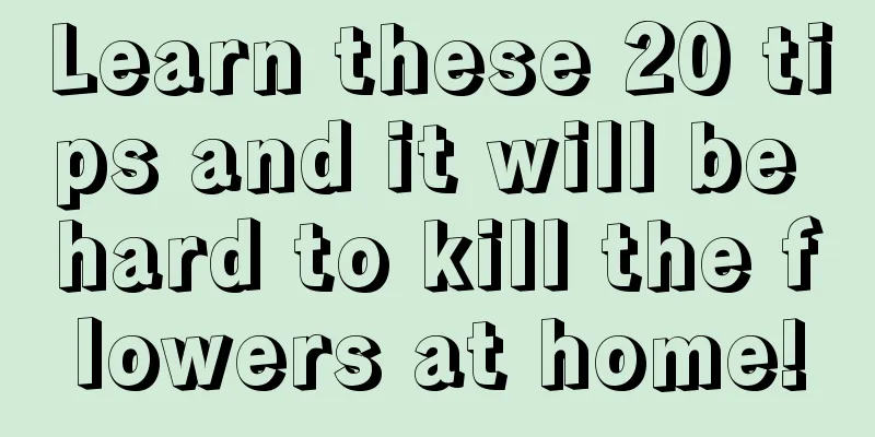 Learn these 20 tips and it will be hard to kill the flowers at home!