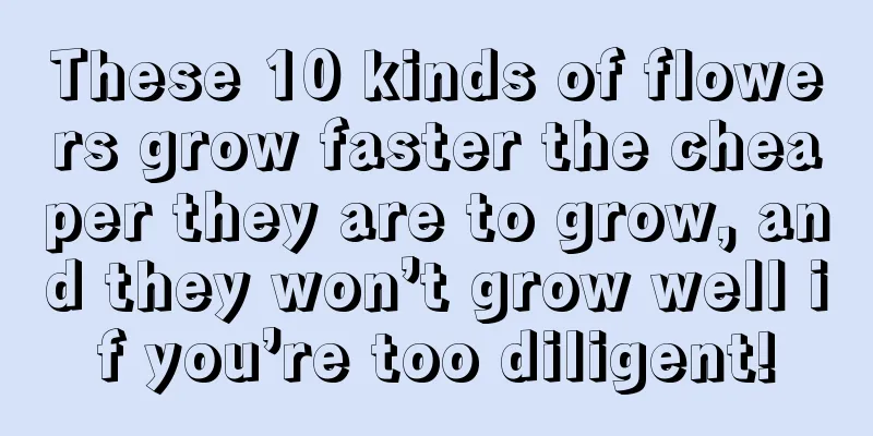 These 10 kinds of flowers grow faster the cheaper they are to grow, and they won’t grow well if you’re too diligent!