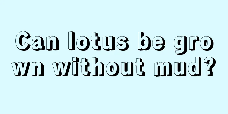 Can lotus be grown without mud?