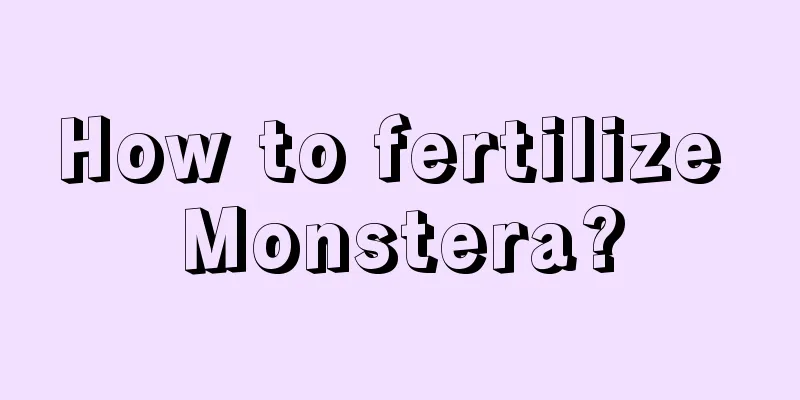 How to fertilize Monstera?