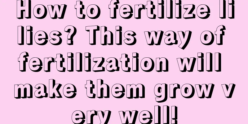 How to fertilize lilies? This way of fertilization will make them grow very well!