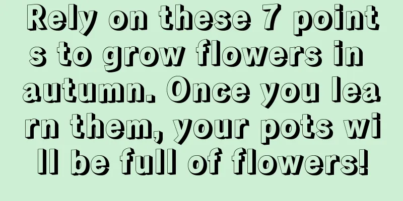 Rely on these 7 points to grow flowers in autumn. Once you learn them, your pots will be full of flowers!