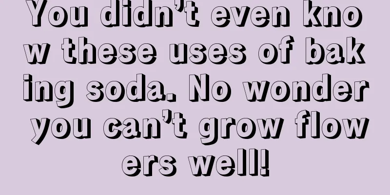 You didn’t even know these uses of baking soda. No wonder you can’t grow flowers well!