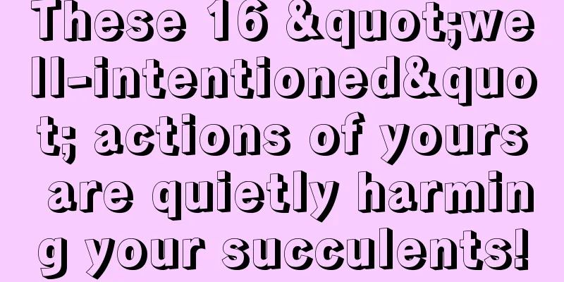 These 16 "well-intentioned" actions of yours are quietly harming your succulents!