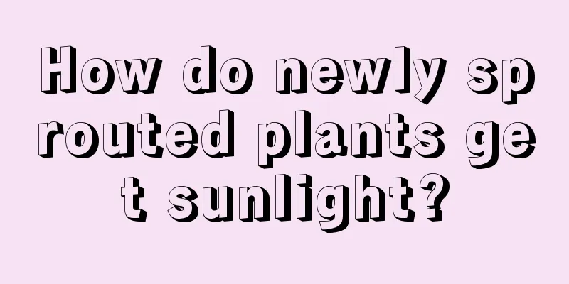 How do newly sprouted plants get sunlight?