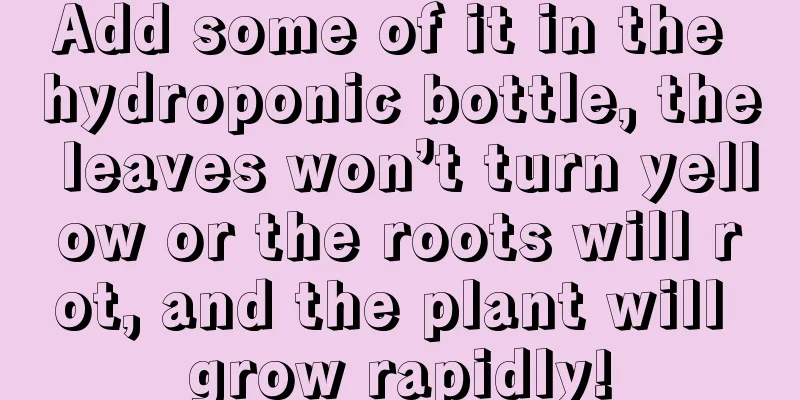 Add some of it in the hydroponic bottle, the leaves won’t turn yellow or the roots will rot, and the plant will grow rapidly!