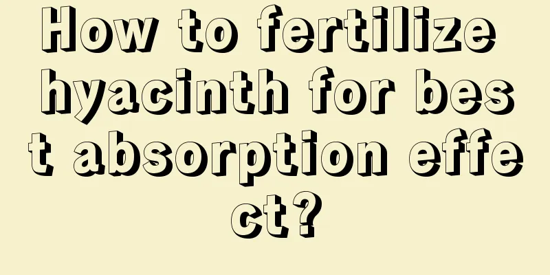 How to fertilize hyacinth for best absorption effect?