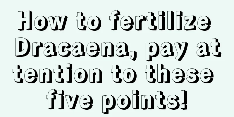 How to fertilize Dracaena, pay attention to these five points!