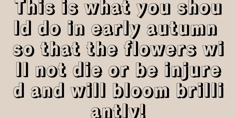 This is what you should do in early autumn so that the flowers will not die or be injured and will bloom brilliantly!