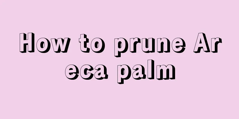 How to prune Areca palm