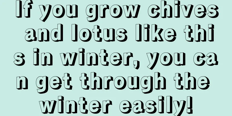 If you grow chives and lotus like this in winter, you can get through the winter easily!