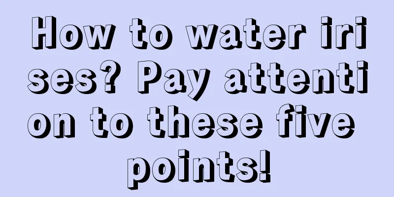 How to water irises? Pay attention to these five points!