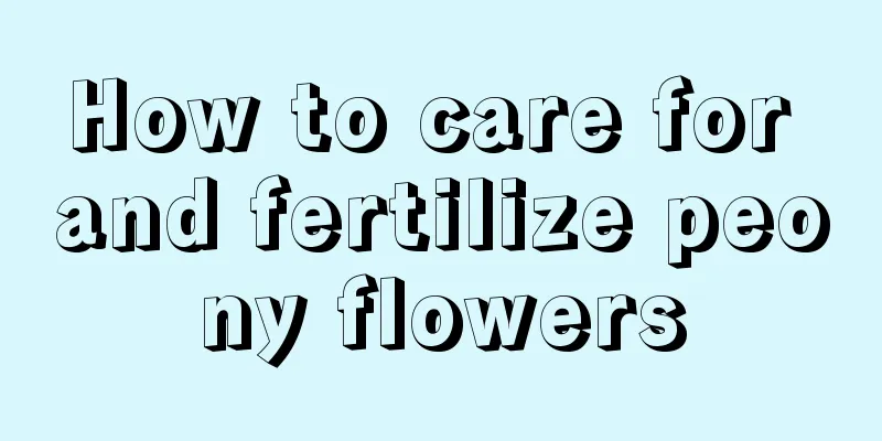 How to care for and fertilize peony flowers