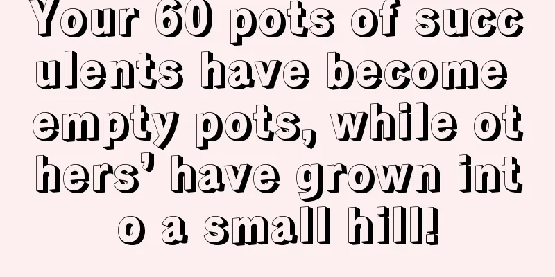 Your 60 pots of succulents have become empty pots, while others’ have grown into a small hill!